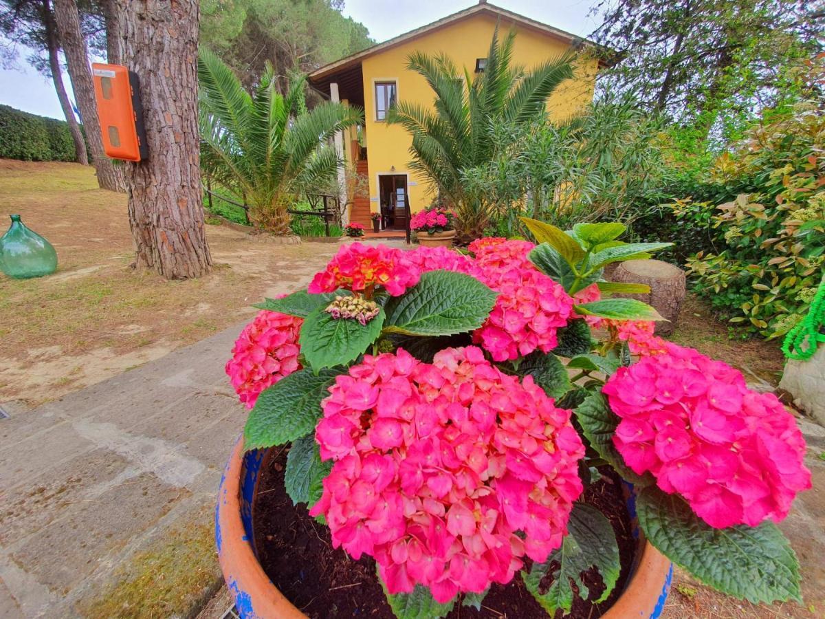 Toscana Holiday Village Montopoli in Val dʼArno Exteriér fotografie